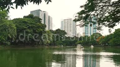 城市公园以休息和体育活动为中心的大都市.. 美丽的湖被绿色的植被包围着