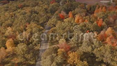 空中建立一条被秋天森林包围的道路。