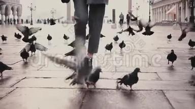 在意大利威尼斯的圣马可广场上，带着一群鸽子，带着相机行走的低角度女游客腿