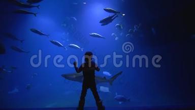 生态鱼在水族馆游泳，小男孩羡慕地看着动物园里的<strong>海底世界</strong>