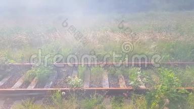 废弃的铁路，雾气中长满了锈迹斑斑的铁轨