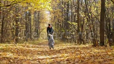 一位年轻<strong>的</strong>父亲和他<strong>的</strong>小儿子在一个<strong>秋天的</strong>公园里散步。 <strong>金色的秋天</strong>。 4k