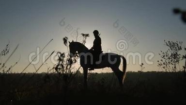 背景夕阳下一个女人骑马的剪影。 慢动作。 侧视图