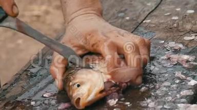 一个渔夫砍掉了刚被抓住的活泼的<strong>大鱼</strong>的头。 清洗鱼，以便进一步烹饪