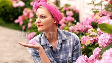 春天，女人在院子里照料花。 女人喜欢粉色绣球花。 爱护花朵的观念.. 粉红绣球花