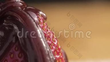 巧克力糖浆在成熟多汁的鲜红色草莓浆果上注入一股浓稠的溪流。