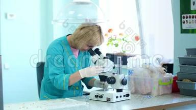 生物化学家在实验室里用发芽、生根的玉米种子，在实验室里用显微镜检查它们。 科学
