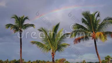 椰子棕榈树和彩虹与蓝色的热带天空与云。 暑假热带假期