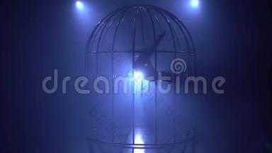 体操圈上的艺术家在黑暗中在舞台上的笼子里表演魔术。 蓝色烟雾背景。 剪影