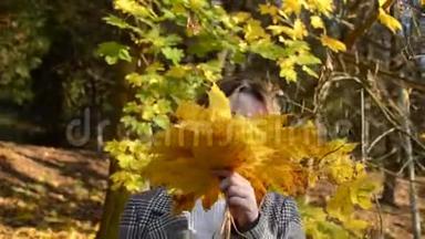 可爱的年轻、开朗、快乐的女孩把脸藏在秋天公园的一片黄色枫叶后面