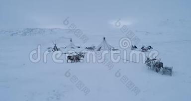 在西伯利亚冻土带中间夹着雪橇的驯鹿们在蒙古包的无人机旁拍摄视频。