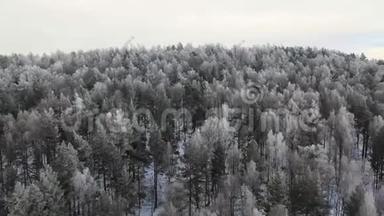 挪威森林冬季电影<strong>无人</strong>机拍摄的平稳<strong>飞行</strong>头部。 <strong>飞行</strong>摄像机。