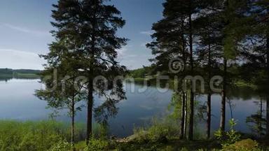 美丽的天空在湖面的镜子上反射着绚丽的景色。 两种大小的绿林树与湖面接壤。