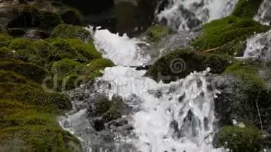 <strong>水流</strong>在石头间流动. <strong>清澈</strong>的水很快就从山下流下来，围绕着黑湿的石头，里面有苔藓