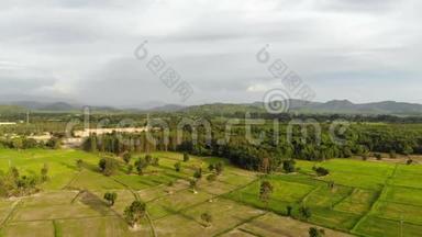 无人机拍摄乡村农业农场的鸟瞰风景