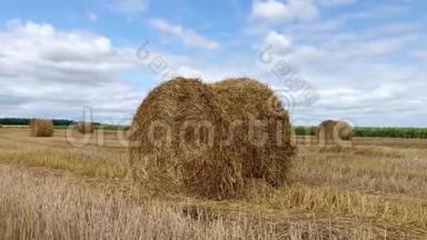 海斯塔克躺在田野上。 夏天的农村田地里有一捆干草，追踪射击。 收获。