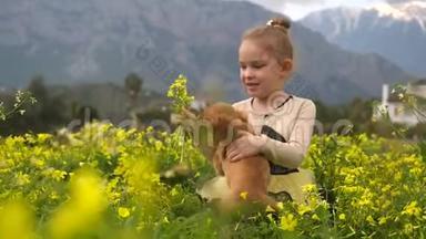 漂亮的女孩和一只小狗在黄色的田野里玩耍