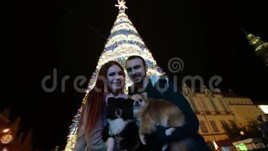 一对相爱的夫妇抱着<strong>可爱</strong>的狗亲吻。圣诞树在背景上。<strong>新年快乐</strong>的概念。