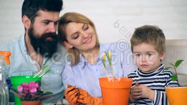 背景中的父母看着一个男孩，他在彩色的花盆里种花。 小园丁。 一个男孩和他的父母