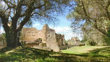 意大利乡村古遗址，蒂沃利阳光明媚的日子里的树枝