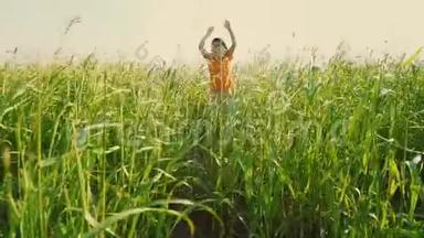 一个穿着鲜艳橙色T恤的男孩从高高的绿草中<strong>跳出</strong>来，孩子躲在草地上