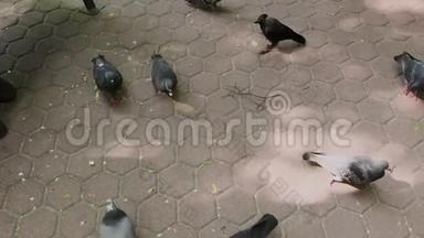 一家人在公园长凳上喂鸽子。