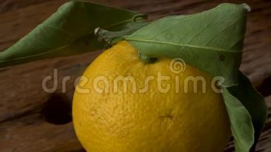 橘子。 蜂蜜普通话橘子。 家冠果。 新鲜采摘的橘子