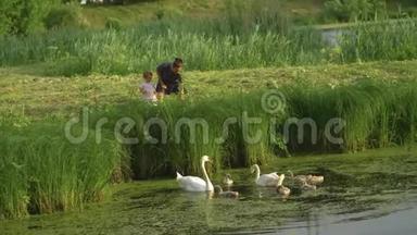 年轻的母亲带着她的小女儿在绿色公园池塘里喂天鹅和<strong>小鸭</strong>子，穿着点缀的裙子-