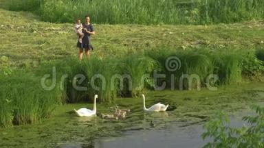 年轻的母亲带着她的小女儿在绿色公园池塘里喂天鹅和<strong>小鸭</strong>子，穿着点缀的裙子-