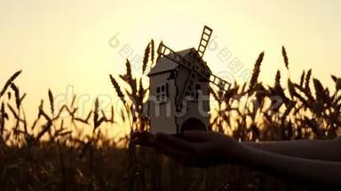 一个年轻女孩手中的玩具风车，背景是金色的麦穗和日落。