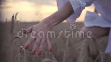 女人的麦田。 女人的手摸着大麦的耳朵。 女农民。 享受农业丰收。 有机黄金大麦