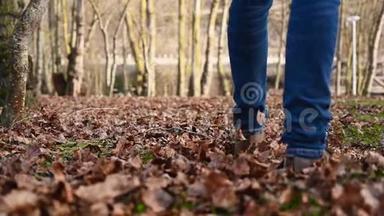 秋天，在田园诗般的公园散步时，人们穿过树叶。 一个人走在满是树叶的小路上