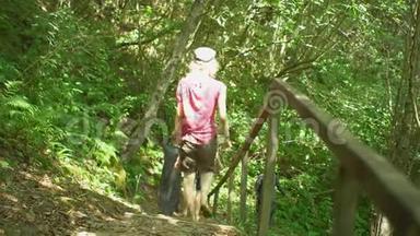 一群徒步旅行的游客从山上丛林野生自然公园的楼梯上下来。旅游徒步小径