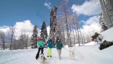 朋友们在滑雪场玩得很开心。 朋友们和哈士奇一起走。 幸福和沙哑。 滑雪场上的哈士奇。 冬天阳光明媚