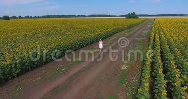 穿着白色短裙的漂亮卷发的布鲁内特女孩在两片向日葵图案的田野的乡间小路上散步