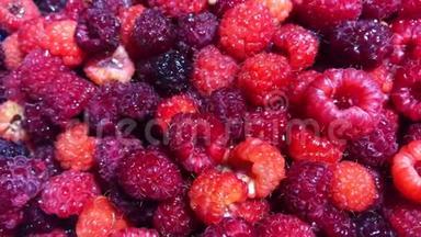 旋转新<strong>鲜红</strong>莓背景。 <strong>成熟</strong>新鲜多汁的有机覆盆子特写。