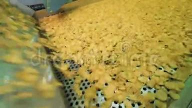 工厂机器正在搬迁炸土豆片。 薯片生产线。