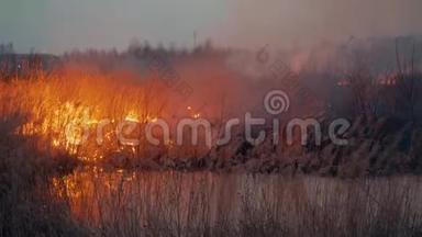 在森林大火的同时在野外烧草。 旱季燃烧森林大火时用火焰和烟雾中的干草