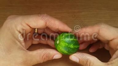 小黄瓜在袖子上，但黄瓜与人类手中的小西瓜或地球非常相似