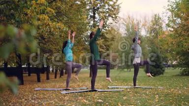 三个身材苗条的女孩在公园里做瑜伽，练习平衡练习，单腿站立在垫子上，移动