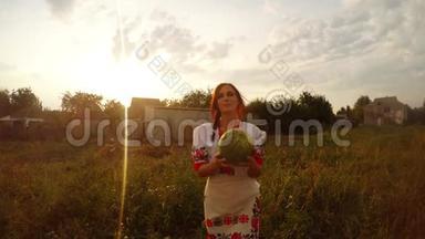 一个穿着传统的乌克兰<strong>民俗</strong>服装的女孩在花园里发现了一个西瓜，并把它交给了镜头后面的人。 第一次