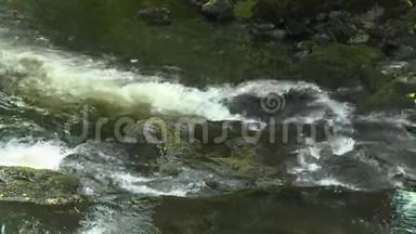 水在溪流中撞击岩石
