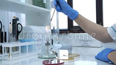 玻璃酒精燃烧器在实验室的桌子上燃烧。 加热的管子和烧瓶。 火和安瓿带药.. 燃烧器