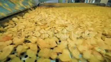 许多黄色薯片在<strong>工厂</strong>生产线上移动，自动<strong>化工</strong>厂设备正在工作。