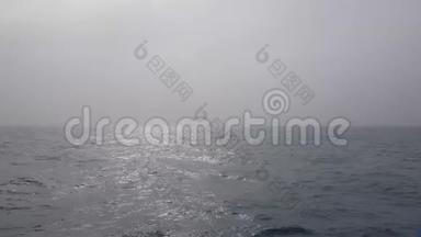 阴天时的海景.. 海浪的太阳冲破了雾. 朦胧的海洋景观。 海洋海浪