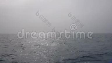 阴天时的海景.. 海浪的太阳<strong>冲破</strong>了雾. 朦胧的海洋景观。 海洋海浪