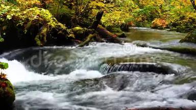 美丽的景色清澈的溪流，湍急的河流，在秋天穿过五彩缤纷的观叶林