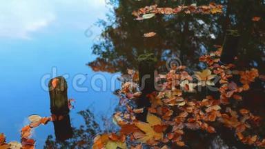 秋天<strong>湖畔</strong>落叶、<strong>树木</strong>和木柱的倒影