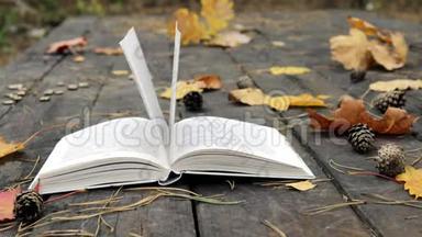 古木上有一本书，落了松果，秋天的黄叶枫和橡树。 风吹走了树叶，移动了