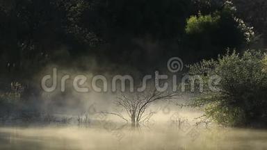 日出时分飘来的薄雾-南非